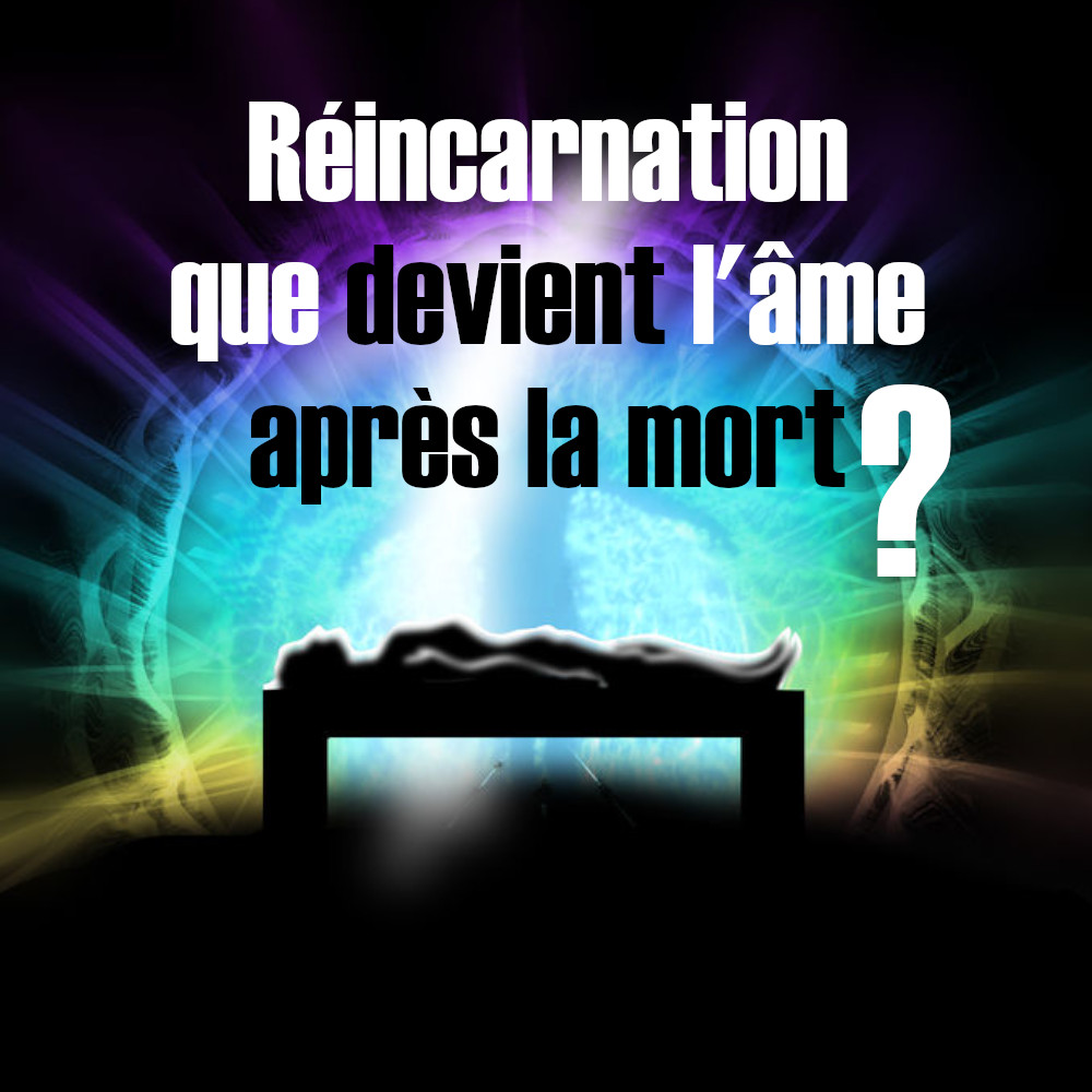 reincarnation